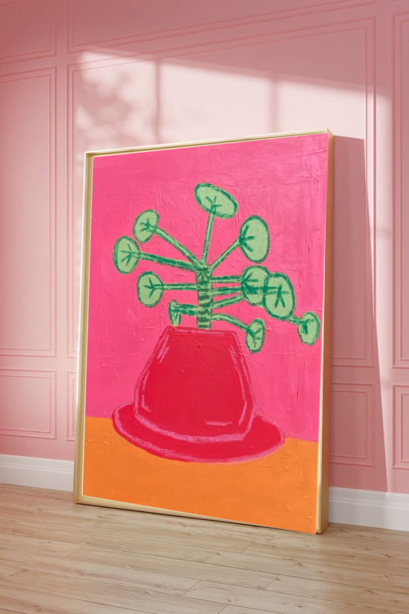 the chinese money plant
